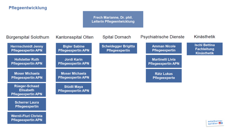 Organigramm_Pflegeentwicklung