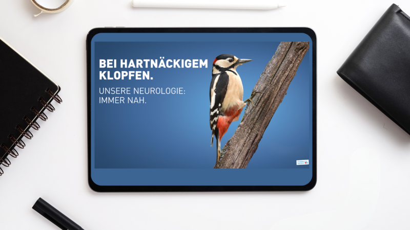 soh_imagekampagne_kopf soh_imagekampagne_kopf