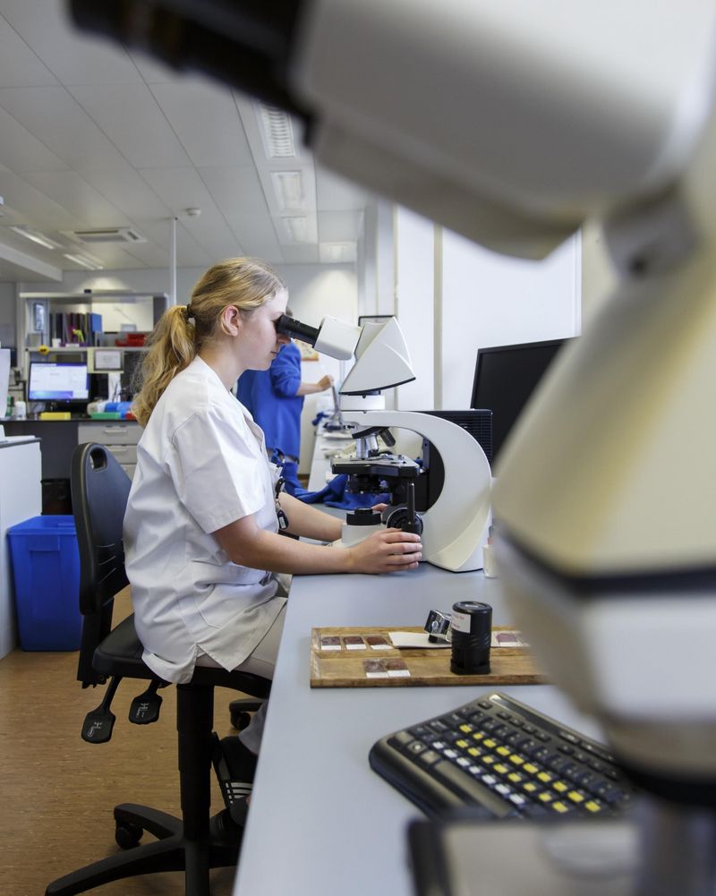 Labormedizin im Einsatz – Fachperson bei der Arbeit mit einem Analysegerät