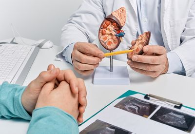 Ergebnisse besprechen Zwei Nephrologen analysieren die Untersuchungsergebnisse am Computer